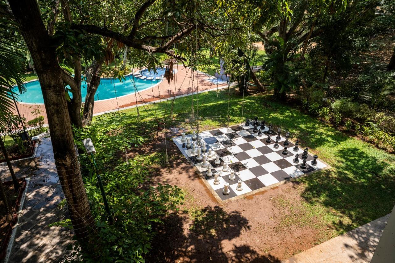 Royal Orchid Brindavan Garden Mysore Belagula Kültér fotó